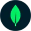 Voyage AI Free Embedding and Reranking Tokens logo